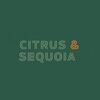 citrus_sequoia